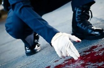 убийство журналистки Анны Азовской