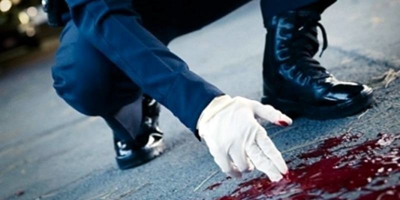 убийство журналистки Анны Азовской